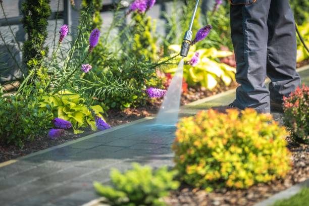 Best Parking Lot and Garage Cleaning  in Waterloo, NE