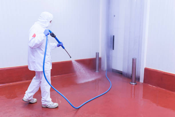 Best Driveway Pressure Washing  in Waterloo, NE