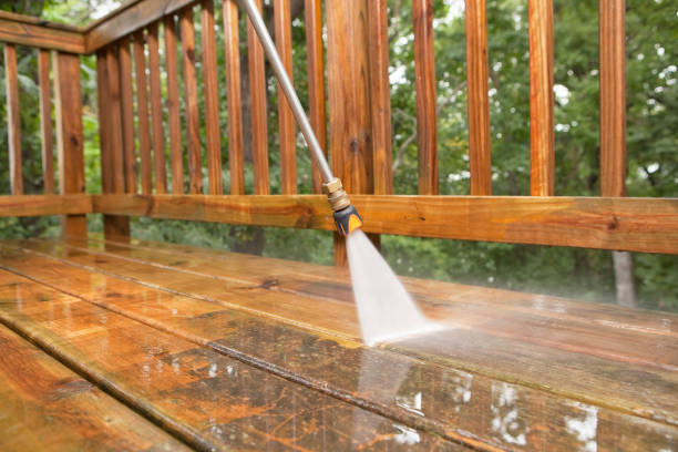 Animal Enclosure Cleaning in Waterloo, NE